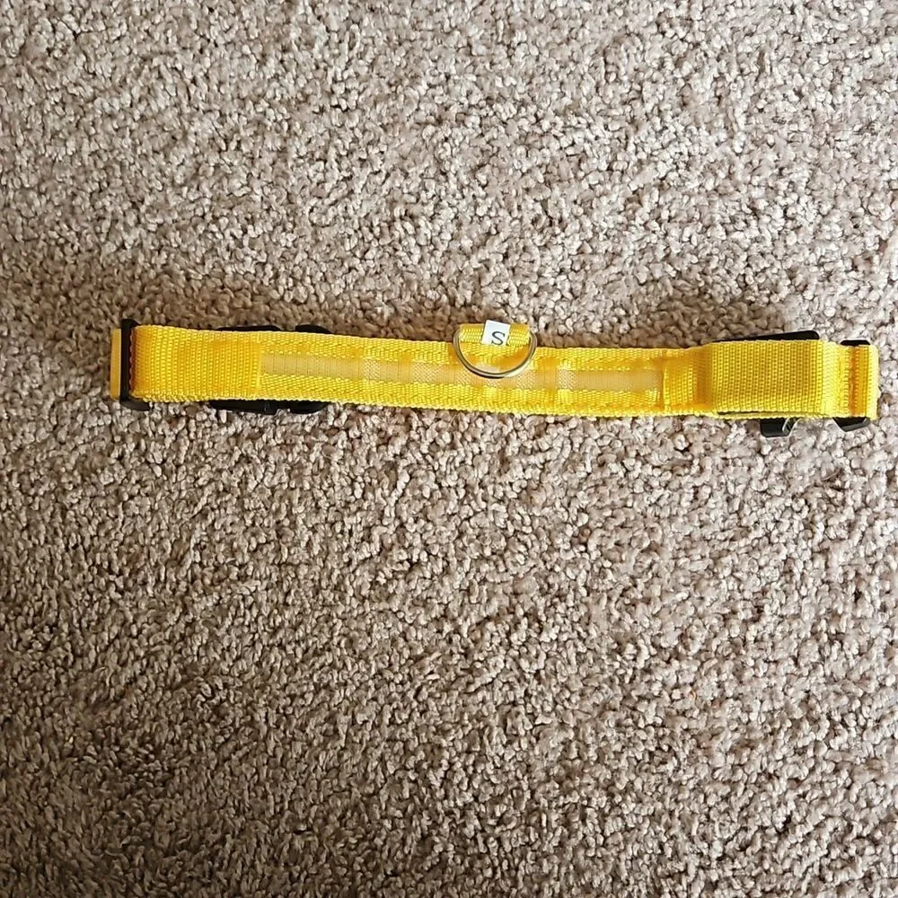 NWOT Glow in the dark LED dog collar